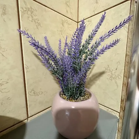 公寓 Filipopolis 普罗夫迪夫