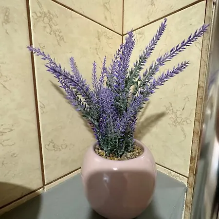 Апартамент Filipopolis Пловдив