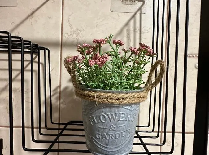 Filipopolis Lejlighed *